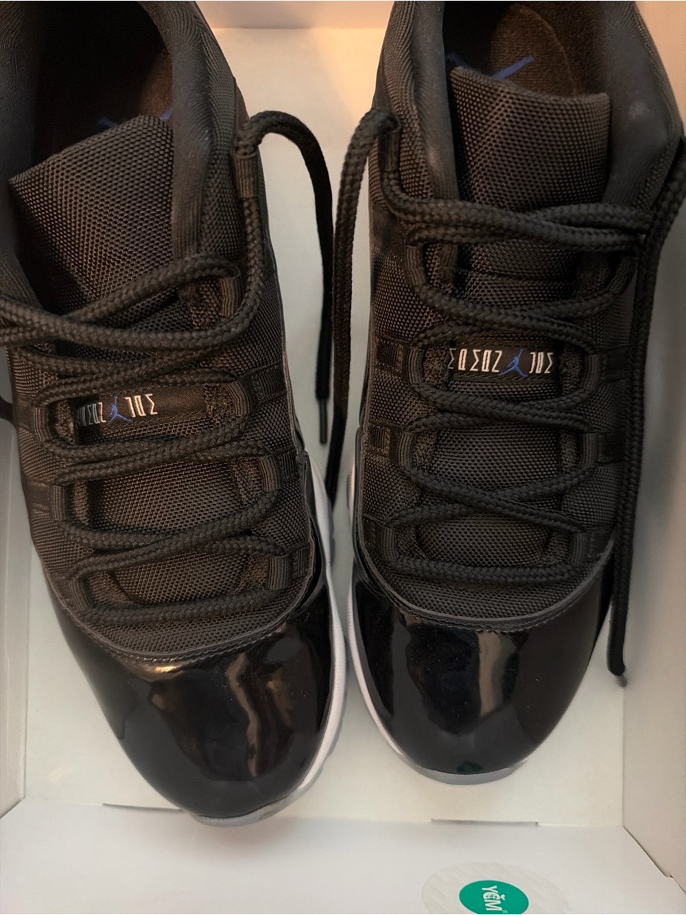 Jordan 11 Space Jam size 13